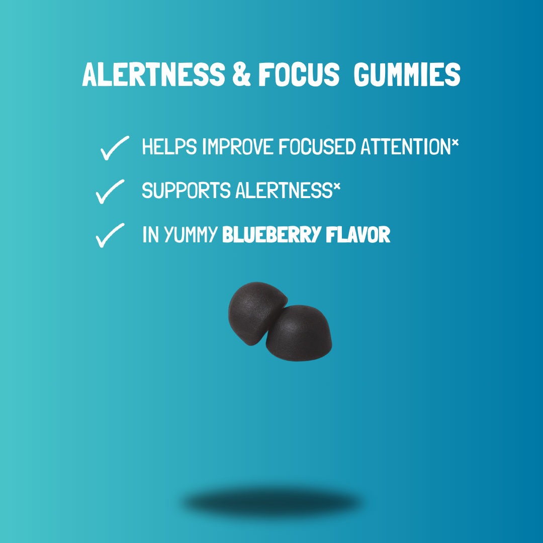 Focus Mushroom Gummies | Adults